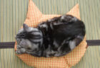 猫がスッと座りたくなる！？羽毛製品メーカーが猫のために開発したこだわり仕様の座布団「猫のしあわせ座布団」