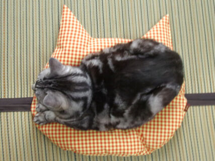 猫がスッと座りたくなる！？羽毛製品メーカーが猫のために開発したこだわり仕様の座布団「猫のしあわせ座布団」
