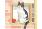SNSの人気猫がニャンと塗り絵に！おとなのスケッチ塗り絵シリーズ 最新刊『おとなのスケッチ塗り絵 かわいい猫 癒しのもふもふ大集合！』のテーマは猫