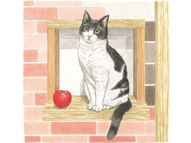 Snsの人気猫がニャンと塗り絵に おとなのスケッチ塗り絵シリーズ 最新刊は猫まみれ Cat Press