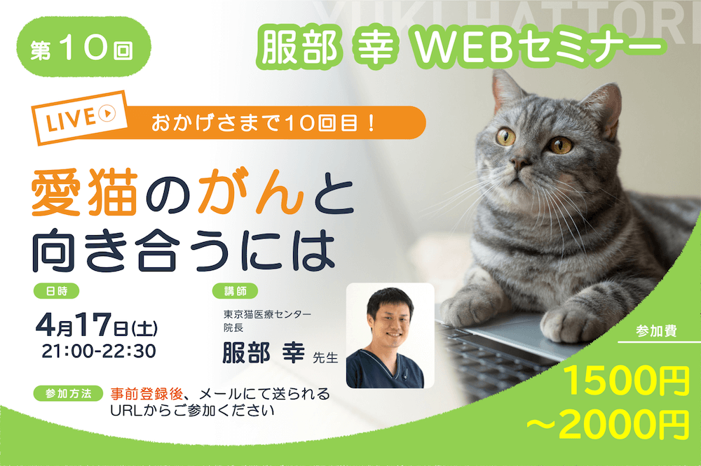 愛猫のがんとどう向き合う ねこ専門医 服部幸獣医師のwebセミナーが4 17に開催 Cat Press