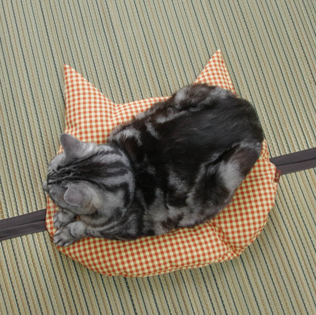 猫用の羽毛座布団「猫のしあわせ座布団」に座る猫を上から見たイメージ by Jumou