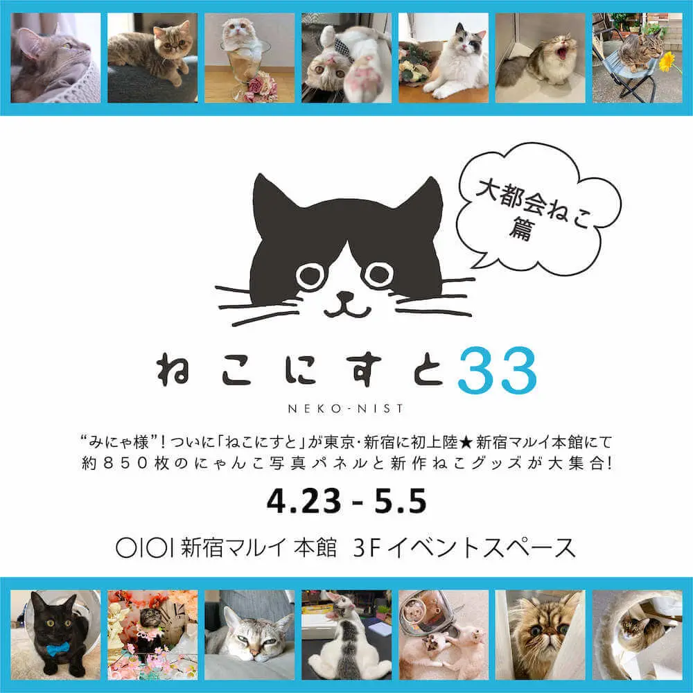 猫の写真850枚を一挙にパネル展示 人気投票や猫グッズも集まる ねこにすと 新宿で開催決定 Cat Press