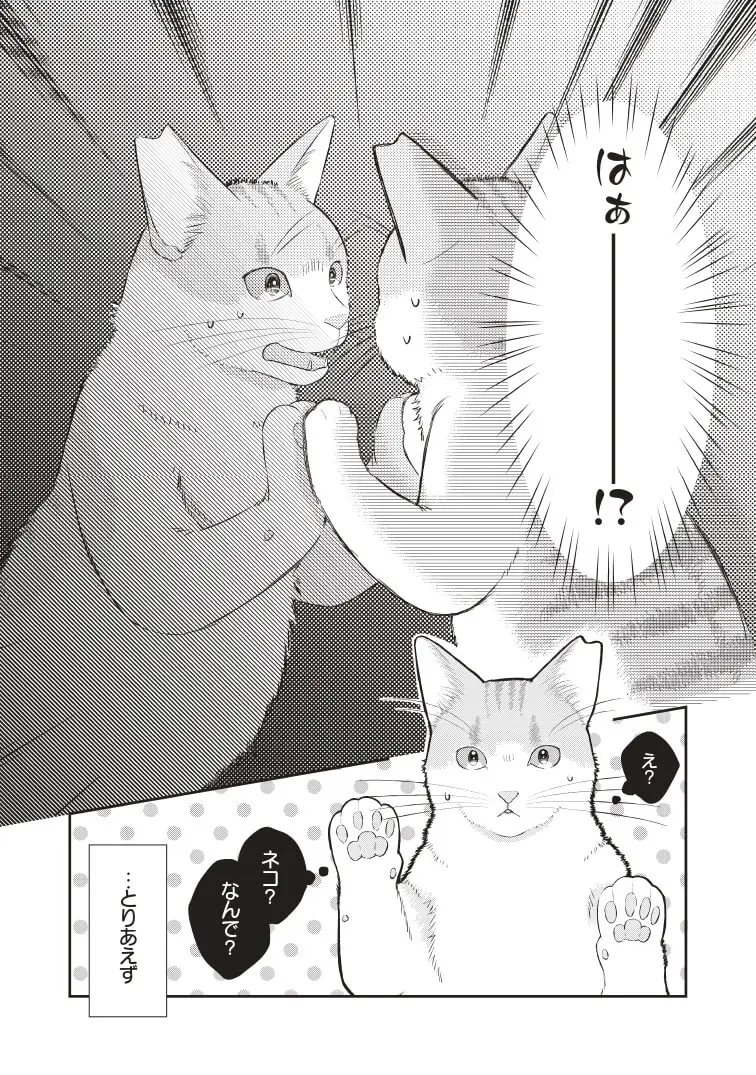 ある日突然 推しメンの飼い猫になったら ドキドキの猫生活がはじまる漫画 推しネコ Cat Press