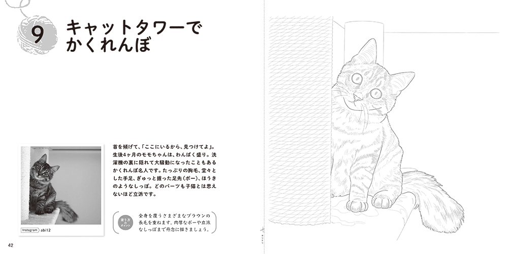 Snsの人気猫がニャンと塗り絵に おとなのスケッチ塗り絵シリーズ 最新刊は猫まみれ Cat Press