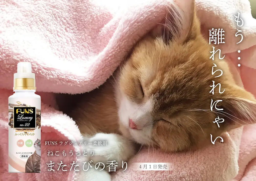 エイプリルフールの猫ネタまとめ 21年版 今年はサブウェイや芝浦工業大学が参戦 Cat Press