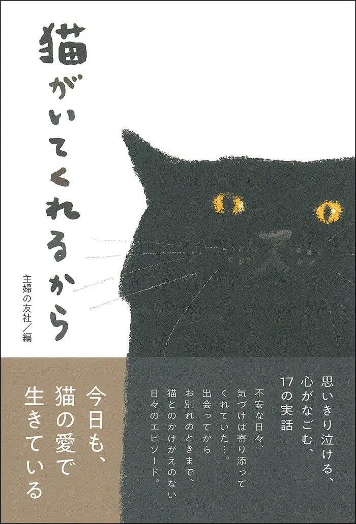 ネコの数だけ物語がある、17の実話エピソードを収録した書籍「猫がいて 