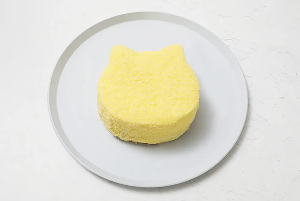 ねこ型チーズケーキのお店からオレンジ味が登場！母の日ギフトに