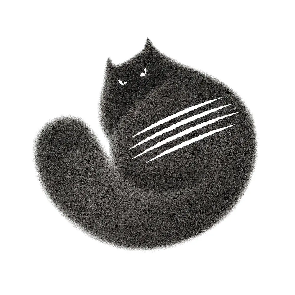 猫の爪あとがキラリ チョコレートブランドの カカオキャット から新パッケージ 商品が登場 Cat Press