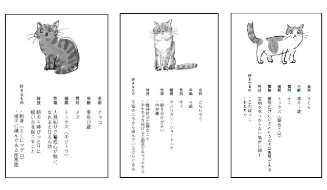 ネコの数だけ物語がある 17の実話エピソードを収録した書籍 猫がいてくれるから Cat Press