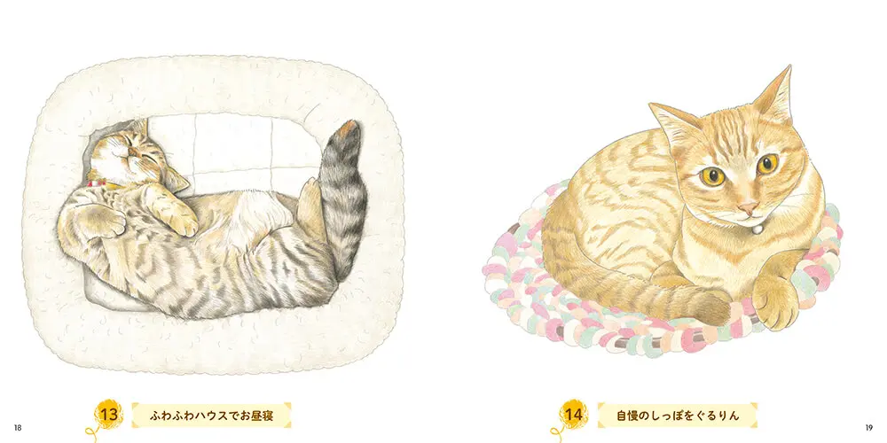 Snsの人気猫がニャンと塗り絵に おとなのスケッチ塗り絵シリーズ 最新刊は猫まみれ Cat Press