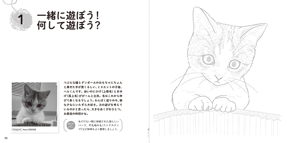 Snsの人気猫がニャンと塗り絵に おとなのスケッチ塗り絵シリーズ 最新刊は猫まみれ Cat Press