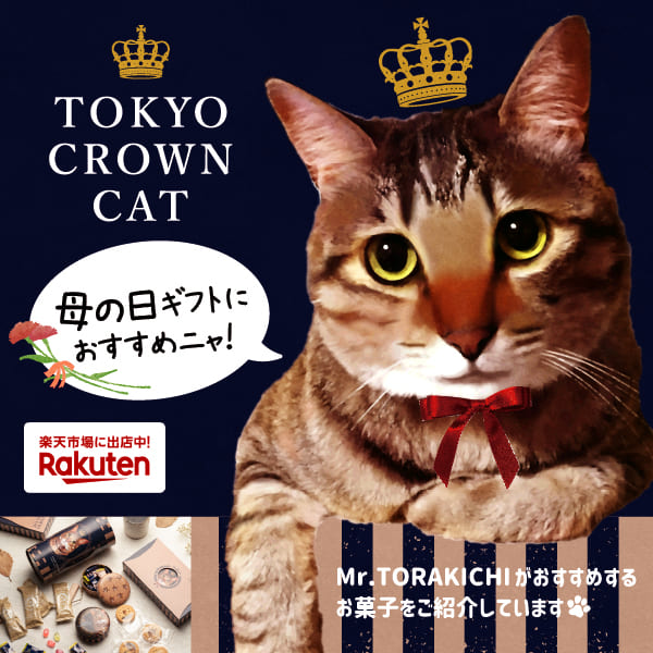 愛猫と幸せに暮らしたい 猫専門の獣医師 服部幸氏による6ヶ月講座が名古屋でスタート Cat Press キャットプレス