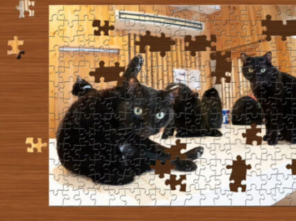 黒猫カフェや子猫の写真で遊べる！Switch用のジグソーパズルゲームに30点のネコ画像が追加