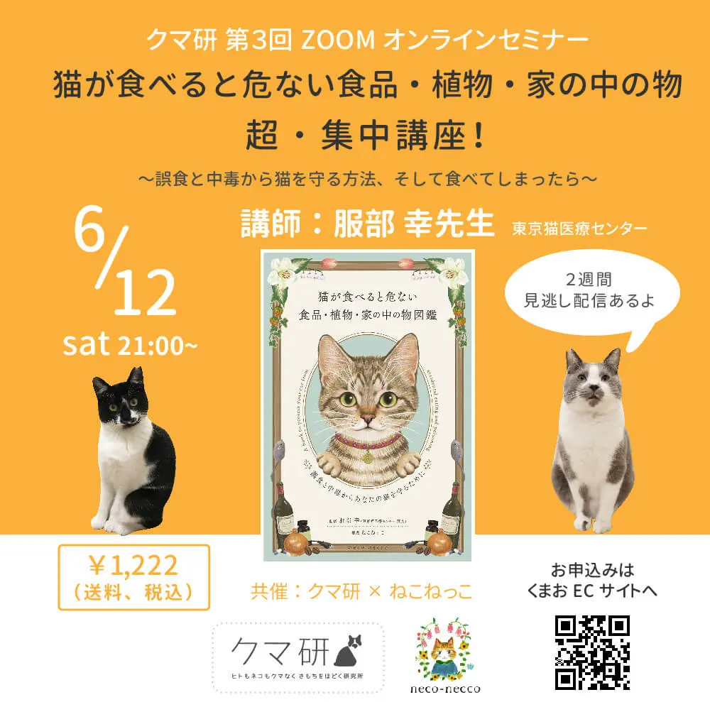 猫が食べてはいけない家の中のモノとは ねこ専門医が解説するzoomセミナー6 12に開催 Cat Press