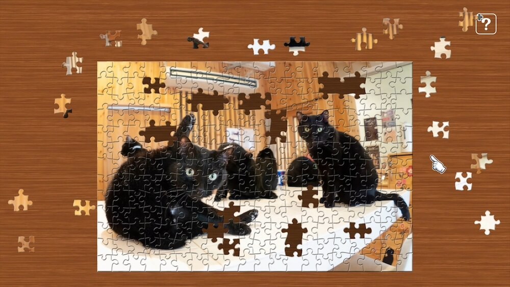 黒猫たちの写真を使ったジグソーパズル by ジグソーマスターピース