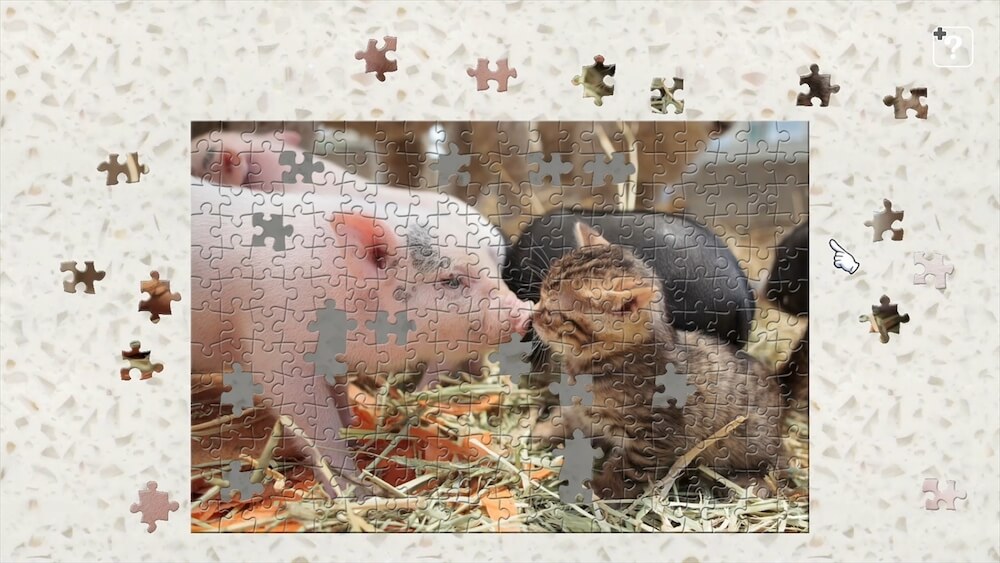 豚と鼻キスをする猫の写真を使ったジグソーパズル by ジグソーマスターピース