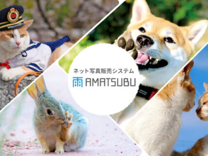 猫フォト、猫グッズの販売を簡単に！写真販売システム「AMATSUBU（あまつぶ）」