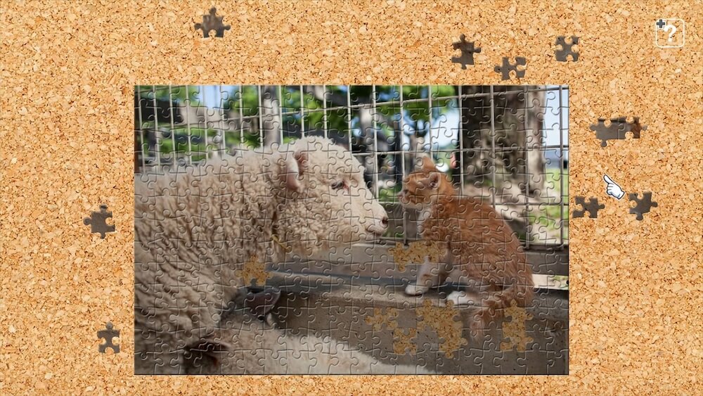 ウサギと子猫が一緒に寝る写真を使ったジグソーパズル by ジグソーマスターピース