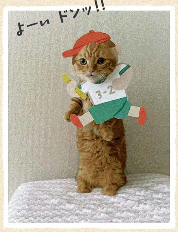 猫の顔出しパネルを作れる塗り絵つき！顔ハメした猫の写真集「む