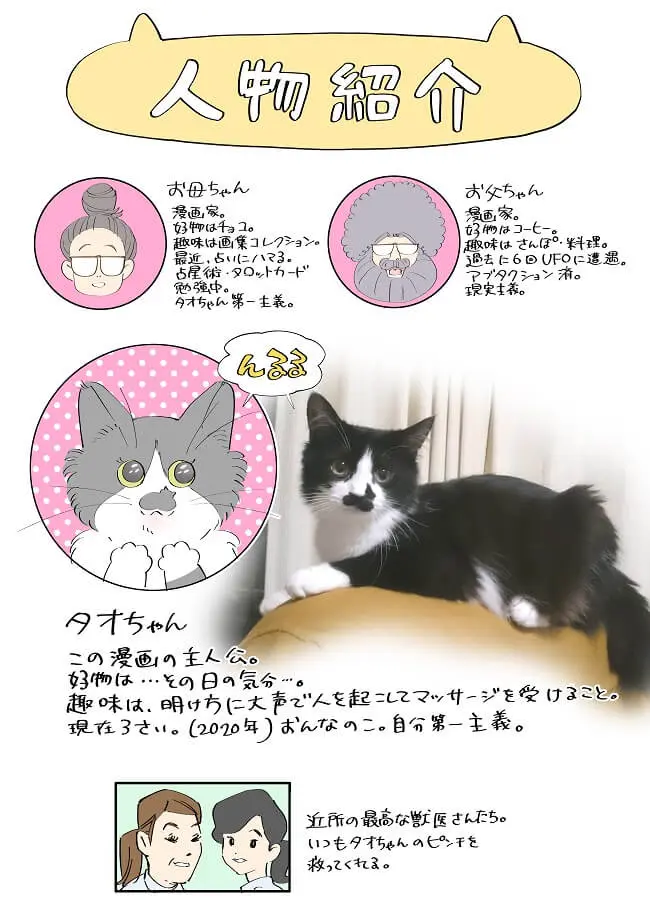 猫あるあるなエピソードが満載 マンガ家と飼い猫の日常を描いた 猫も杓子もタオ日記 Cat Press