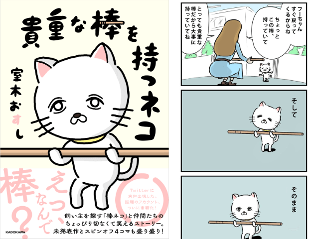 謎の棒の正体とは 失踪した飼い主を探して旅する猫の物語 貴重な棒を持つネコ Cat Press キャットプレス