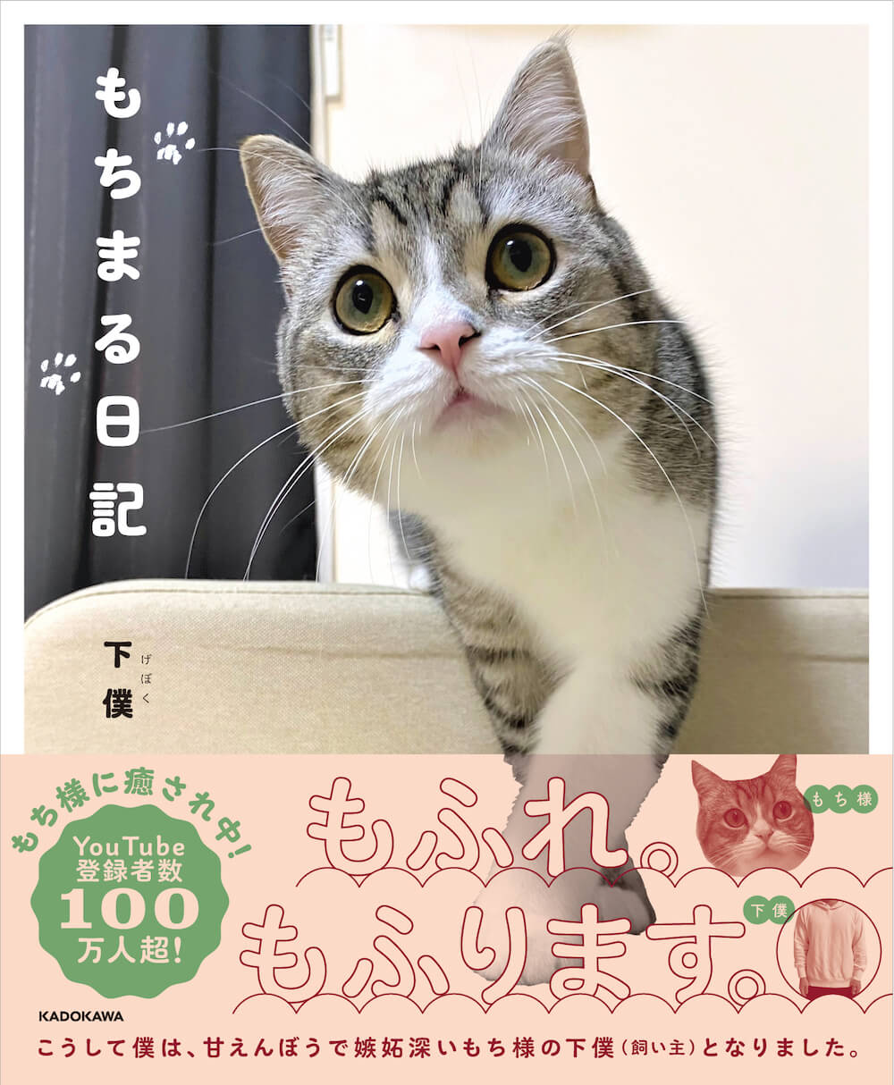 YouTubeの人気猫もちまる（もち様）の写真集「もちまる日記」表紙イメージ