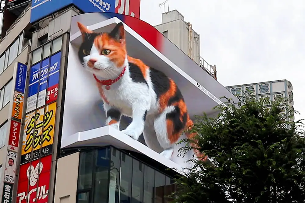 映像あり】新宿アルタ近くに巨大な三毛猫が出現！眠ったり通行人に
