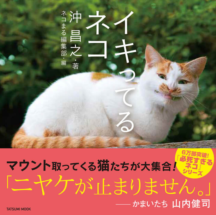 沖昌之の猫写真集「イキってるネコ」表紙イメージ