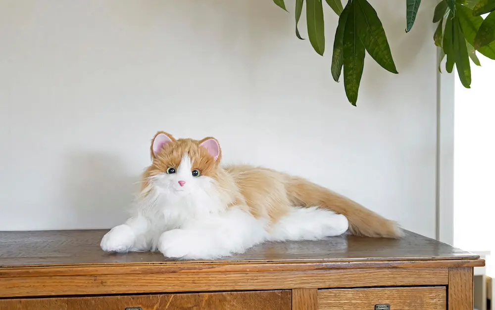 まるで本物みたい！鳴き声やしっぽの動きが変化する猫型ロボット、新色