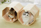 ペピィから新しい猫用品が登場！ボックス付き木登りタワー＆高級木材を使ったトンネルベッド