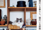 猫と人が心地よく暮らすインテリア実例、15軒を収録した書籍『猫のいる暮らし、猫のいる部屋』