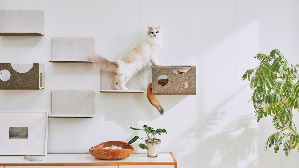自宅の壁をネコの遊び場にできる！磁石の力でくっつく猫壁（にゃんぺき 