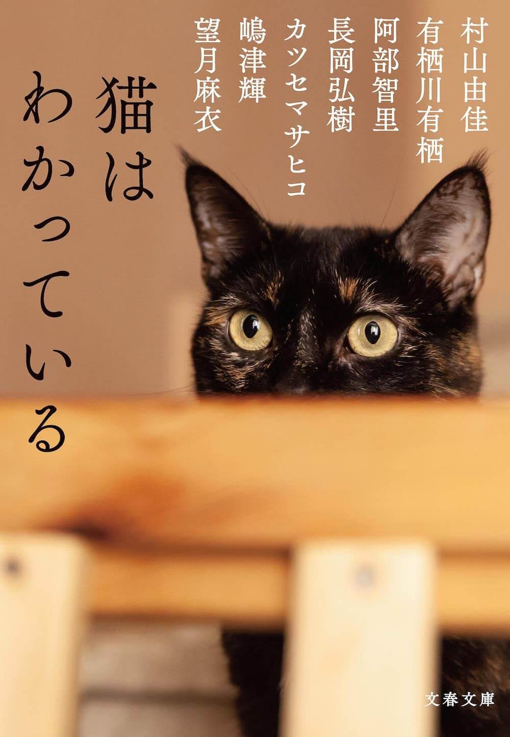 猫の小説集『猫はわかっている』表紙イメージ