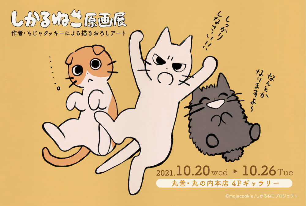 猫キャラクター「しかるねこ」の原画展メインビジュアル in 丸善 丸の内本店