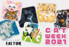 今年は6名のアーティストが参加！猫の絵画展「CAT WEEK」が3年連続で神戸にて開催