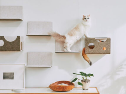 自宅の壁をネコの遊び場にできる！磁石の力でくっつく猫壁（にゃんぺき）が一般販売を開始