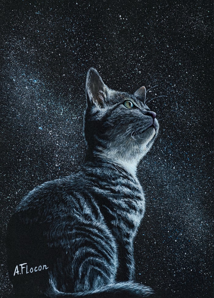 星空の下にたたずむ猫の絵 by A.Flocon（エイ.フロコン）