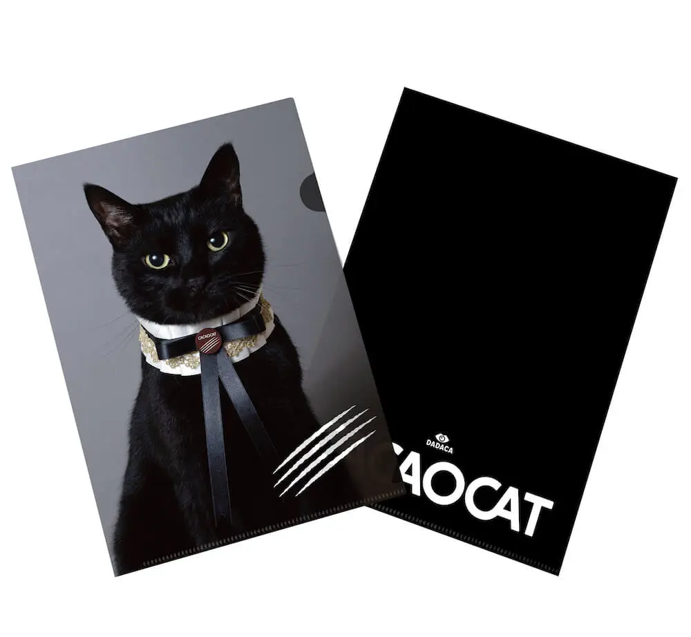 今度は優雅な黒猫デザイン！チョコレートブランドの「カカオキャット