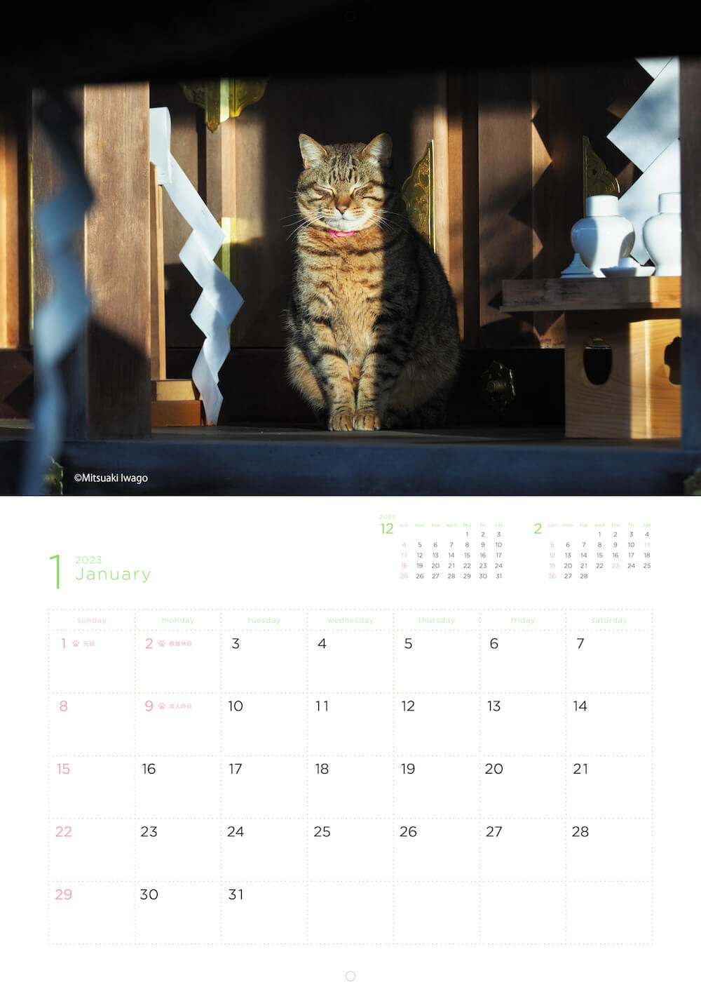 神社の本殿で日向ぼっこをする猫 by 岩合光昭カレンダー