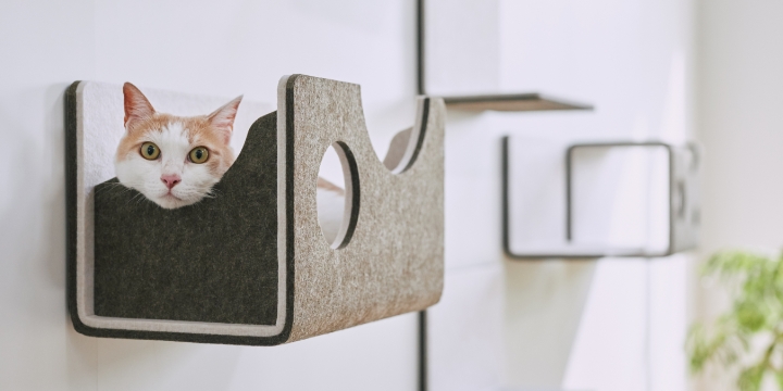 マグネット脱着式のキャットウォール「猫壁（にゃんぺき）」のボックスパーツ使用イメージ