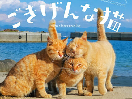 のどかな自然には猫が似合う♪ 島で暮らすネコたちの写真集『日本の島のごきげんな猫』