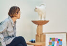 マリメッコの内装を手掛けるデザイン事務所が設計、猫を愛でるための家具「medel（メデル）」