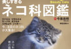 人気のスナネコやマヌルネコも収録！野生のネコ科動物に詳しくなれる「美しすぎるネコ科図鑑」