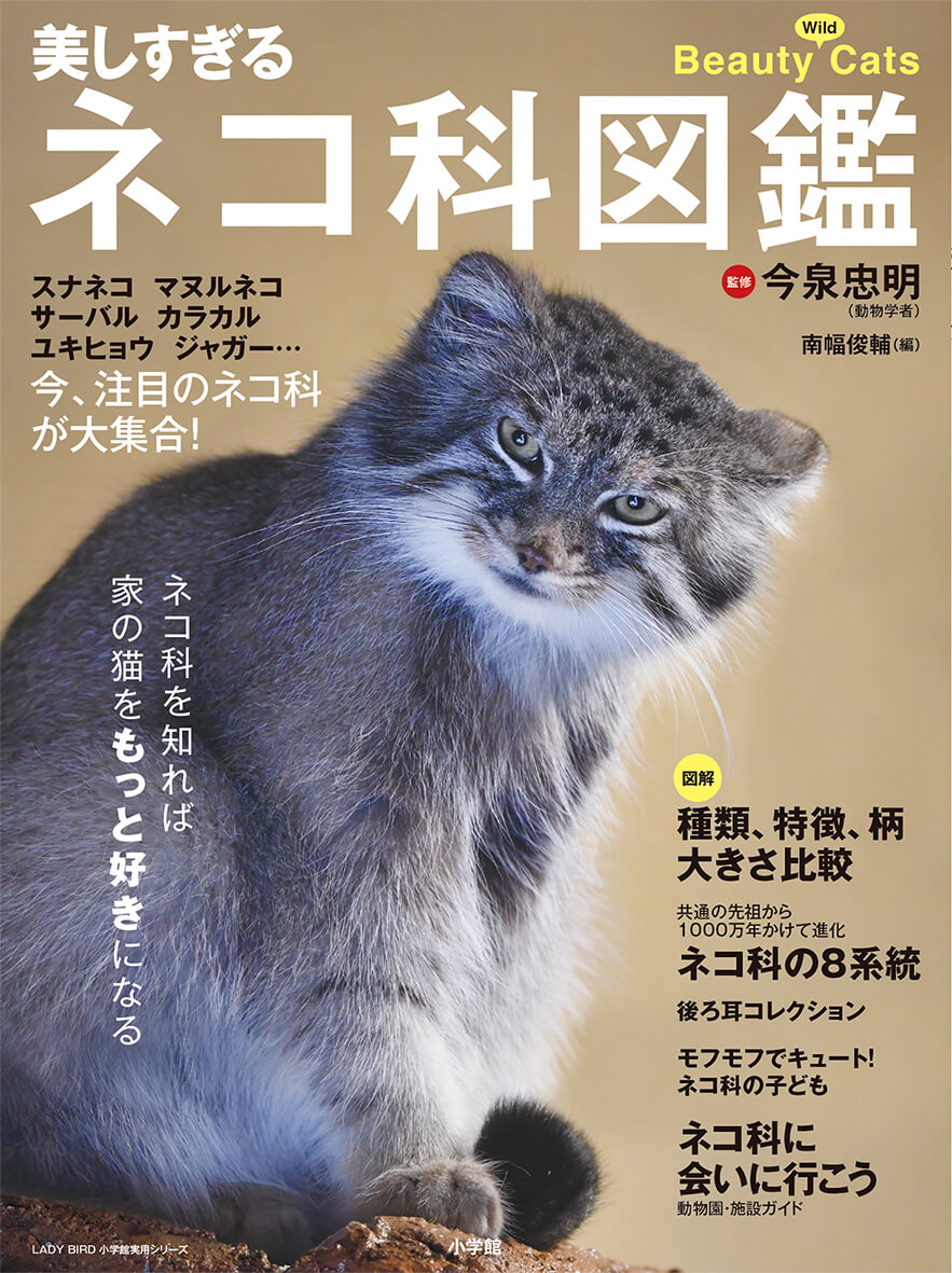 「美しすぎるネコ科図鑑」表紙イメージ