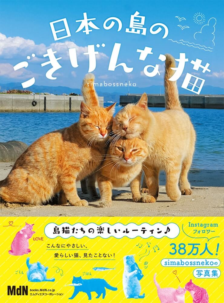猫島の猫ばかりを収録した写真集『日本の島のごきげんな猫』表紙イメージ