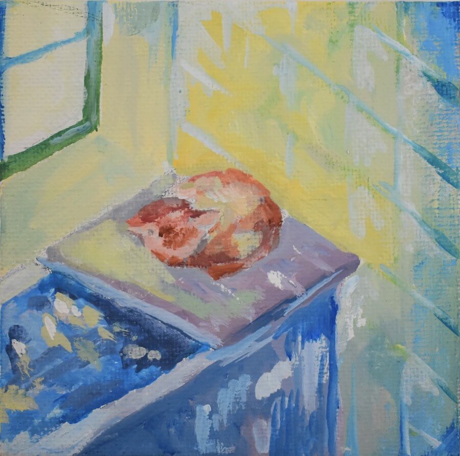 浴槽のフタの上でくつろく猫の挿絵1 by 女子美術大学付属中学校生徒
