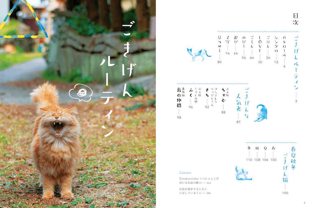 写真集『日本の島のごきげんな猫』の目次