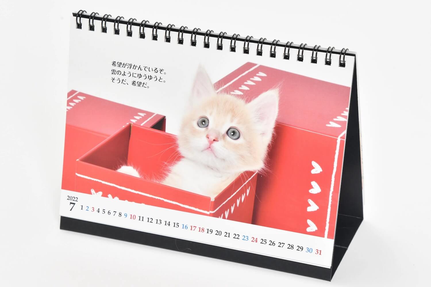 子猫の写真と志茂田景樹の名言がプリントされたカレンダー「猫様のお言葉 ネ・コ・ト・バ2022」