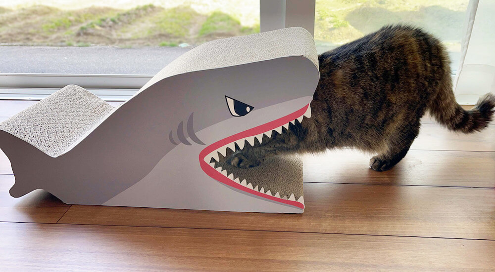 猫がサメに食べられているように見える爪とぎ by Pet ami